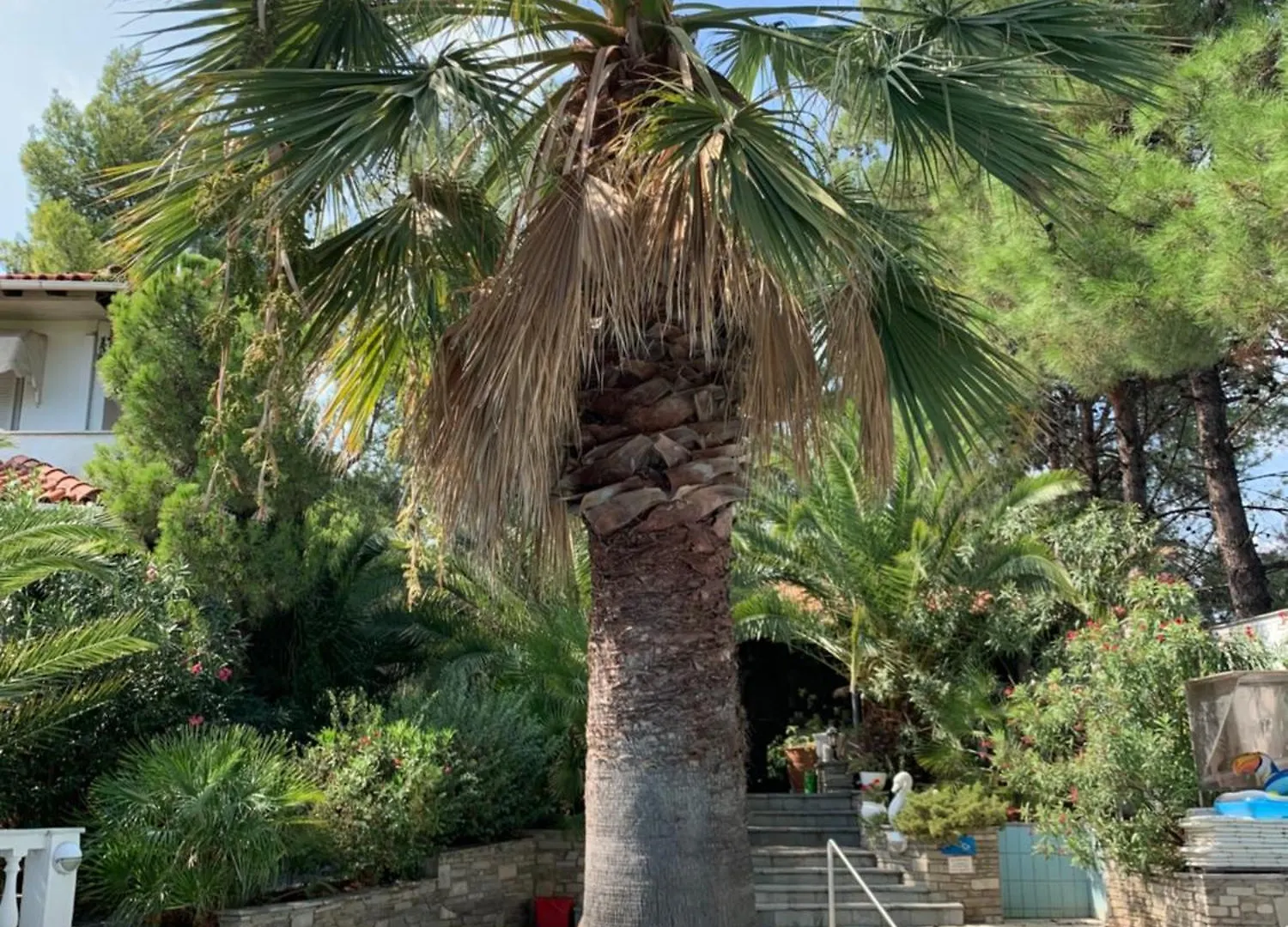 Haus Renate Apartment Nikiti  0*, Nikiti (Sithonia) Greece